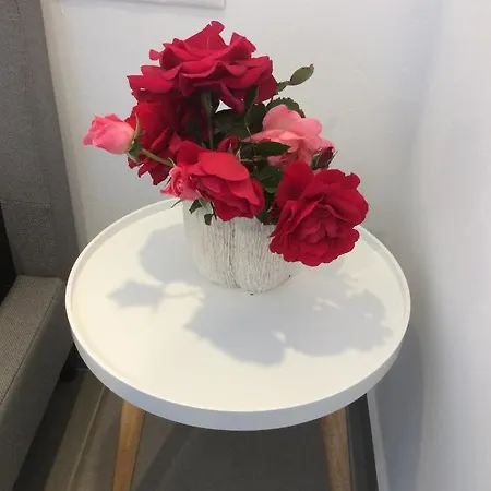 Flora In Paros * Naousa (Paros)