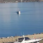 Flora In Paros