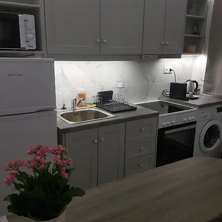 Flora In Paros Holiday home *