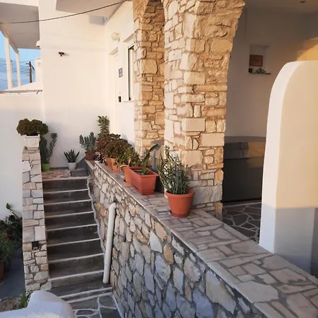 Flora In Paros Zambujeira do Mar
