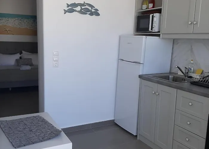 Flora In Paros Hébergement de vacances