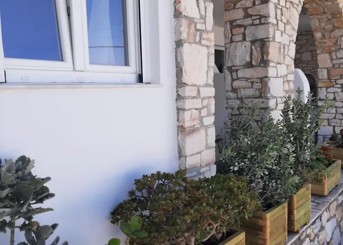 Flora In Paros Hébergement de vacances Náoussa